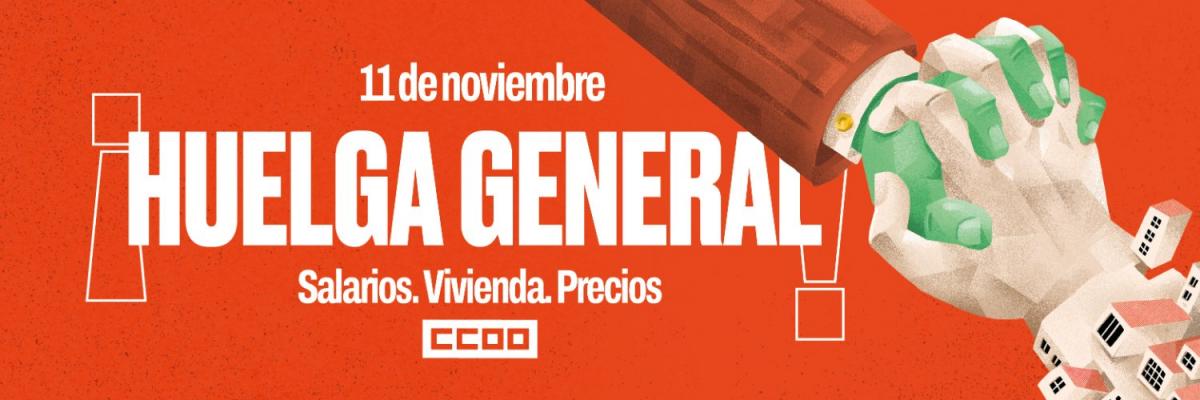 Huelga Genneral 11N